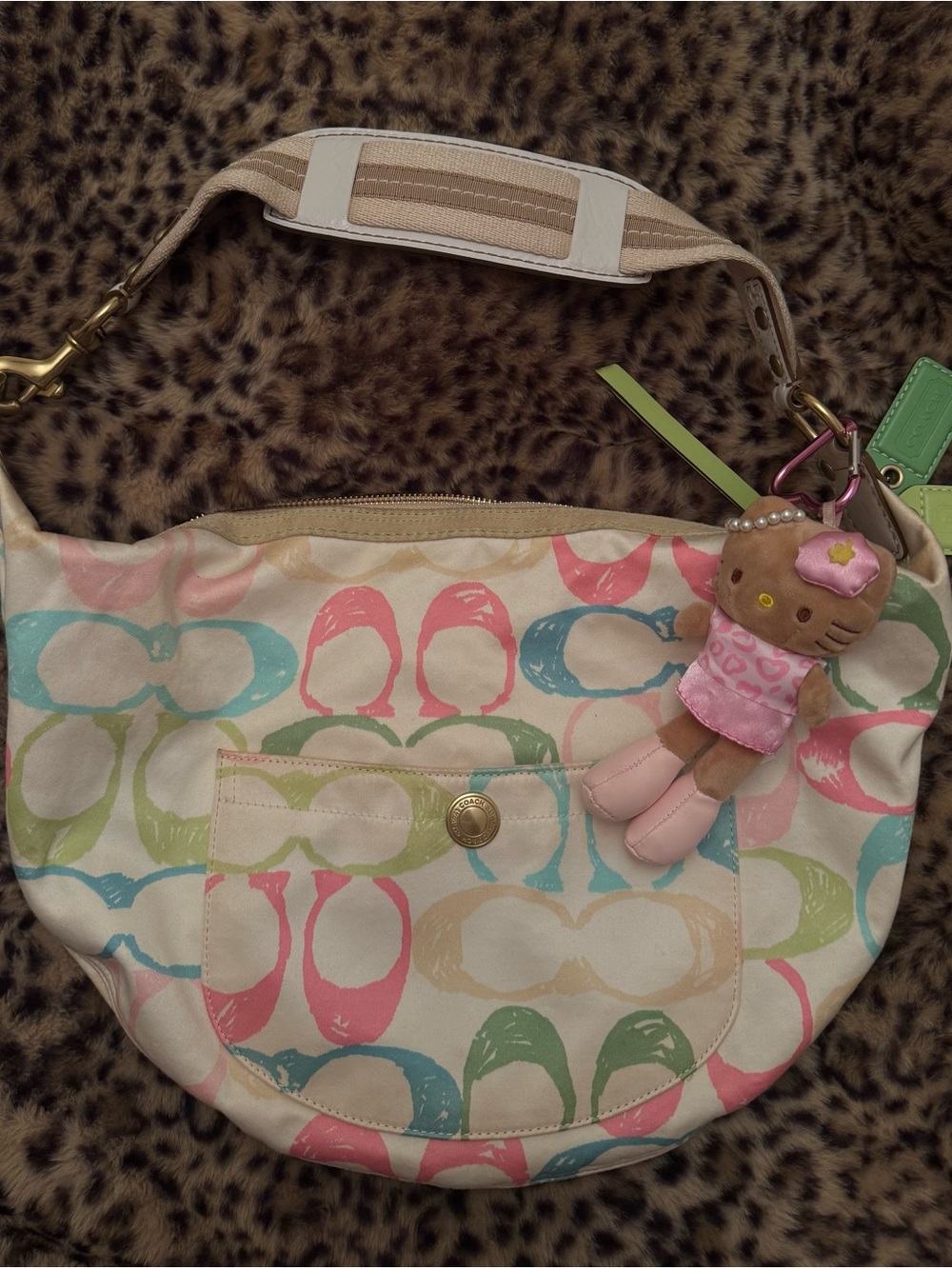 Coach Multicolor Hobo Bag